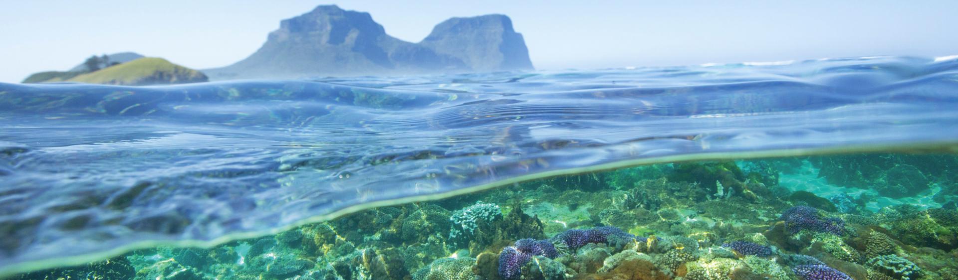 Lord Howe Island Deals Australia Lord Howe Island Deals Australia