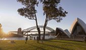 Picnic in Sydney - The Royal Botanic Garden