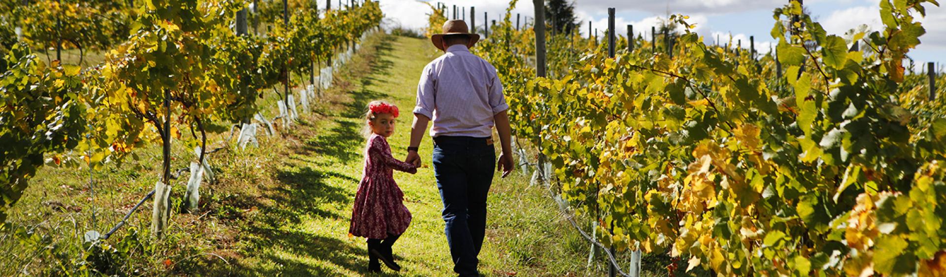 Borrodell Vineyard, Orange