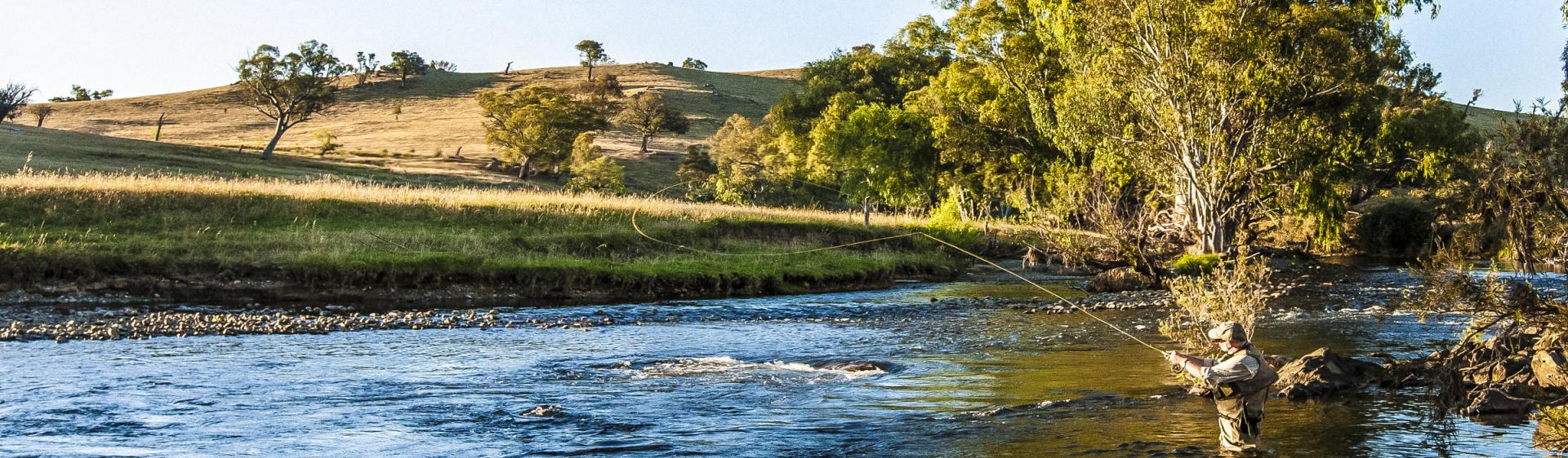 Fly Fishing in Tumut