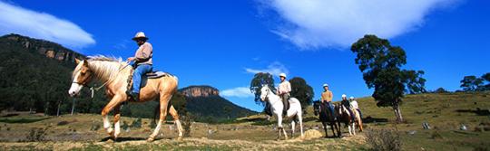 Centennial Glen Stables, Blackheath Horseriding at Centennial Glen Stables, Blackheath