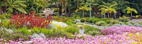 The Australian Botanic Garden, Mount Annan The Australian Botanic Garden, Mount Annan