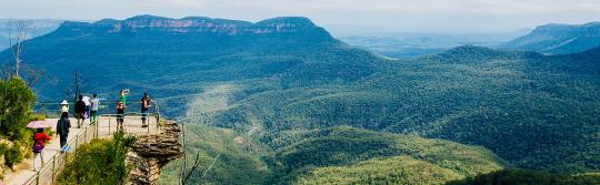 Lookout, Blue Mountains Lookout, Blue Mountains