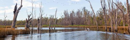 Murrumbidgee River, Narrandera