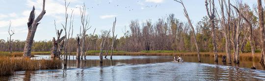 Murrumbidgee River, Narrandera Murrumbidgee River, Narrandera