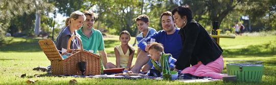 Picnics in Centennial Parklands, Sydney Picnics in Centennial Parklands, Sydney