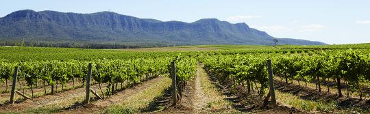 Drives and roadtrips, Hunter Valley Drives and roadtrips, Hunter Valley