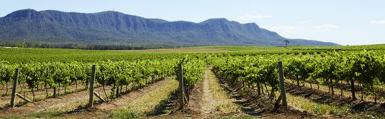 Wine regions, Hunter Valley Wine regions, Hunter Valley