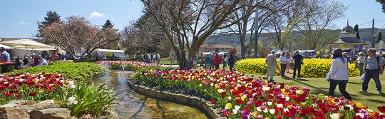 Tulip Time, Bowral Tulip Time, Bowral