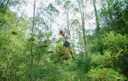 TreeTop Adventure Park, Newcastle TreeTop Adventure Park, Newcastle