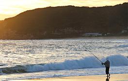 Fishing, Bouddi National Park Fishing, Bouddi National Park