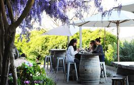 Winery, Mudgee Winery, Mudgee
