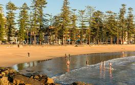Swimmers, Manly Swimmers, Manly