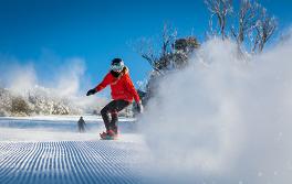 Snowboarder, Thredbo Snowboarder, Thredbo